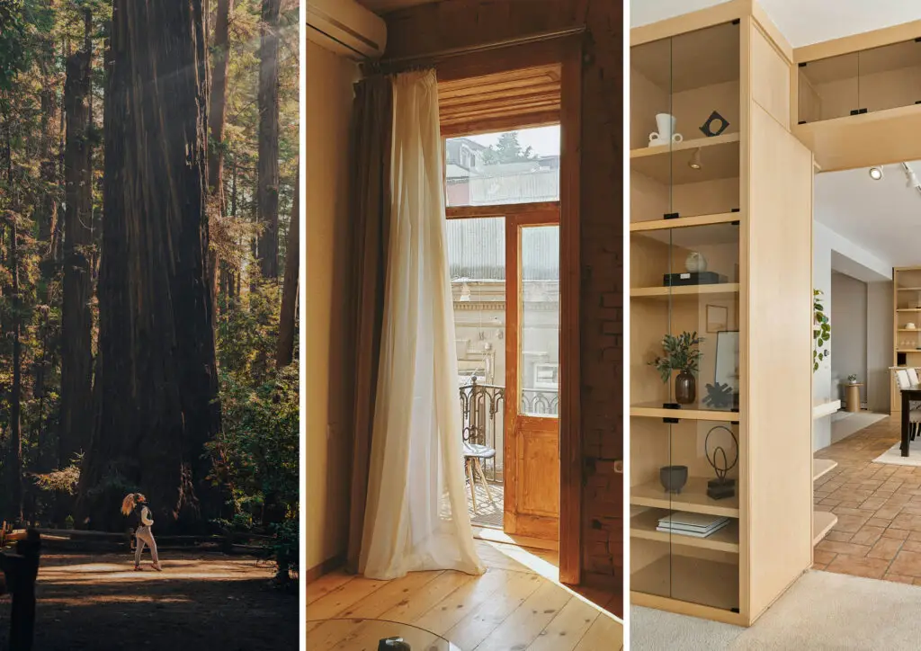 Three images combined into one. Left images is of someone walking in front of a redwood tree, the middle image is of an interior with wood floors and high ceilings looking out onto a balcony with a tall curtain, the right image is of tall wooden shelving