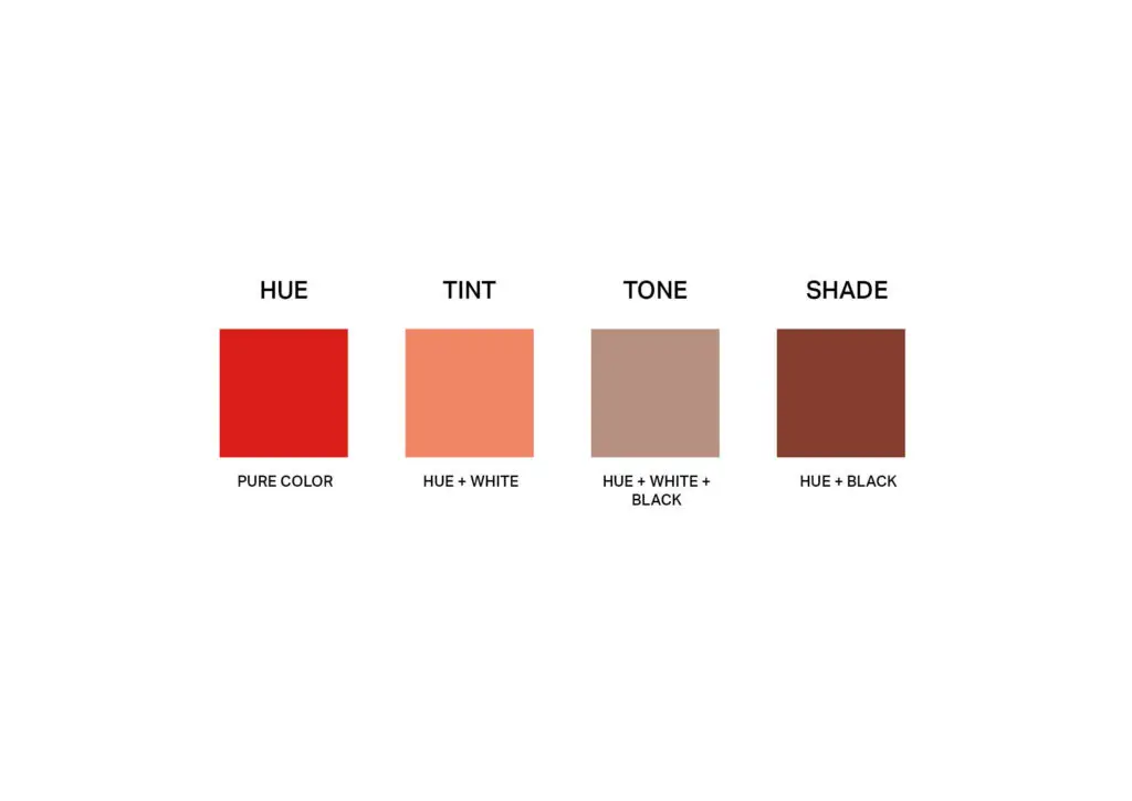 Graphic showing the difference between hue, tint, tone, and shade