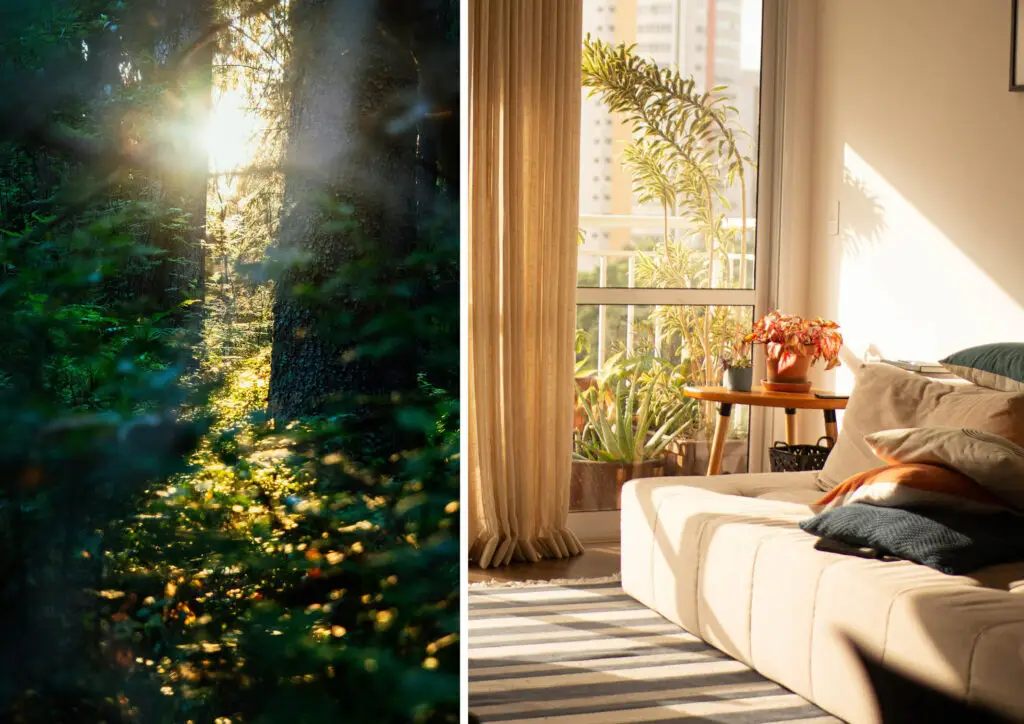 Left image: light filtering through the trees. Right image: afternoon sun coming into a living room