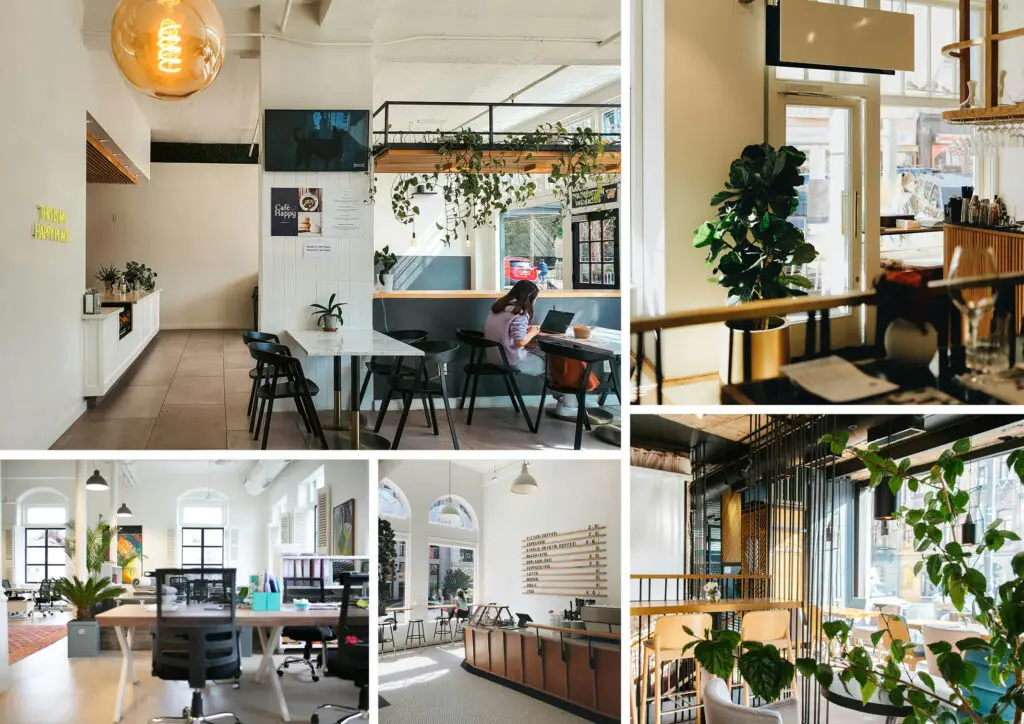 Collage of images of interiors with lots of natural light